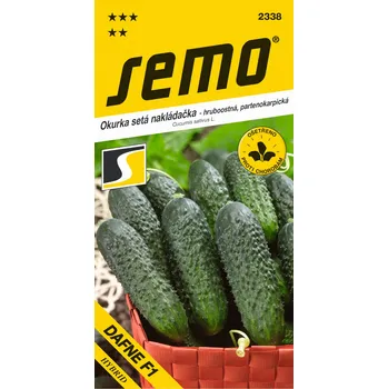 Semeno SEMO Dafne F1 okurka setá nakládačka 1,5 g
