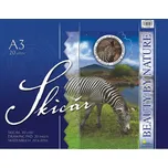 Notes Skicák A3 20 listů