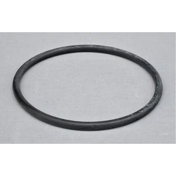 Bazénová filtrace Těsnění víka předfiltru Swimmey