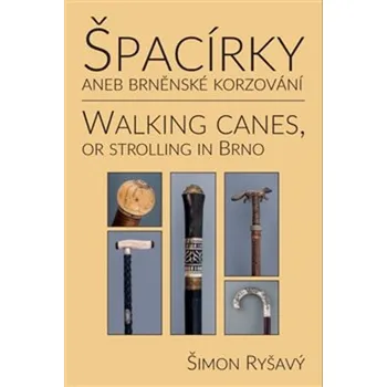 Špacírky aneb brněnské korzování - Šimon Ryšavý (2017)