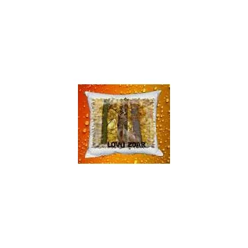 Povlak na polštářek Foto Povlak na polštářek pro myslivce 11