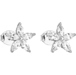 Evolution Group 11069.1