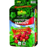 Floria Substrát pro jahody 40 l