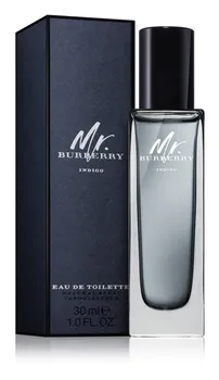 Pánský parfém Burberry Mr. Burberry Indigo EDT