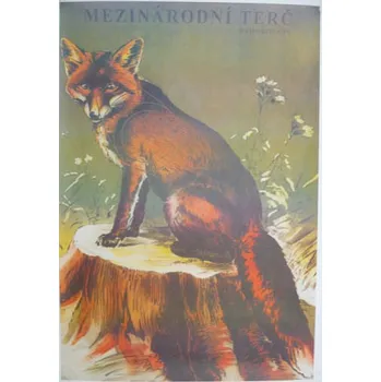 Sportovní střelba Mezinárodní redukovaný terč liška