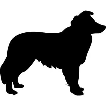 Samolepicí dekorace na vozidlo Samolepka Sheltie na auto a motorku, tuning nálepka (2727)