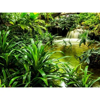 Fototapeta FTN XXL 2491 AG Design vliesová fototapeta 4-dílná - Jungle waterfall lagoon, velikost 360 x 270 cm