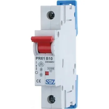 Jistič Jistič SEZ PR 61-D 8A, 1P (0099306)