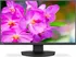 Monitor NEC EA241F