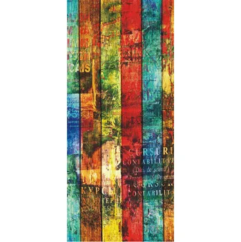 Fototapeta FTN V 2880 Vliesová fototapeta dveřní Coloured board, velikost 90 x 202 cm