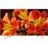 Televizor Sony 43" LED (KD43XF8577SAEP)