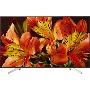 Televizor Sony 55" LED (KD-55XF8596)