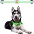 Obojek pro psa inSPORTline Petsaber Maxi LED 41/50 cm