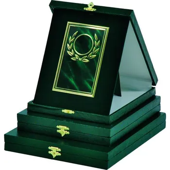 Ft220 Kazeta s kovovým diplomem