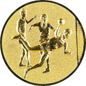 0437 Emblém házená