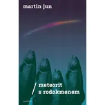 Meteorit s rodokmenem - Martin Jun (2019, pevná)