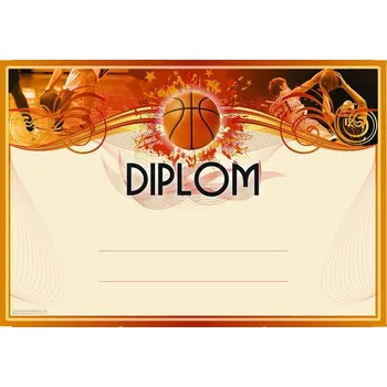 DB03c Diplom basketbal
