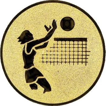 0336 Emblém volejbal