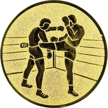 0492 Emblém kickbox