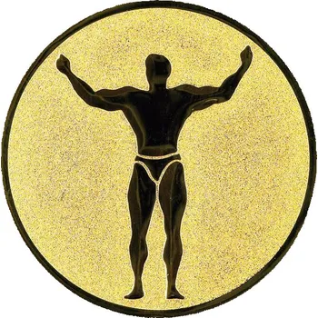 0369 Emblém kulturistika