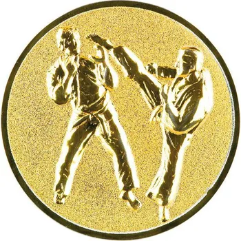 0455 Emblém karate