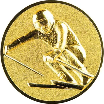 0425 Emblém lyžování
