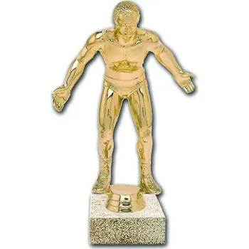 F1073 Soška zápasník