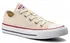 Pánské tenisky Converse Chuck Taylor All Star Low Top 159485C