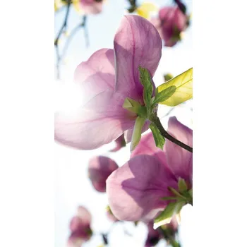 Tapeta FOTOZÁVĚS RŮŽOVÉ KVĚTY (LIGHT)