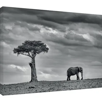 Obraz Obraz na plátně Mario Moreno - Land of Giants