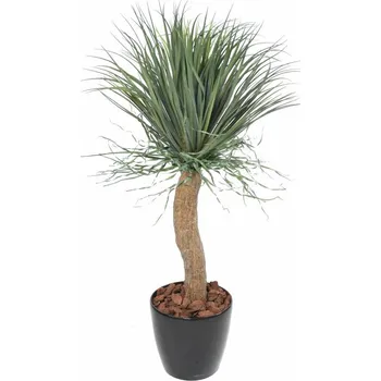 umělá květina BEAUCARNEA RECURVATA, 116cm (Luxusní umělá palma)