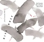 Divé husy - Jitka Šuranská Trio [CD]