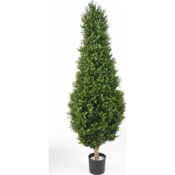umělá květina BUXUS RED DAY TOPIARY UV, 185cm (Luxusní umělý strom zimostráz)
