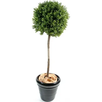 umělá květina BUXUS KOULE STEM NEW, 140cm (Luxusní umělý strom zimostráz)