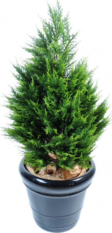 CYPŘIŠ JUNIPERUS, 105cm (Luxusní umělý strom)