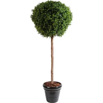 umělá květina BUXUS KOULE STEM NEW, 180cm (Luxusní umělý strom zimostráz)