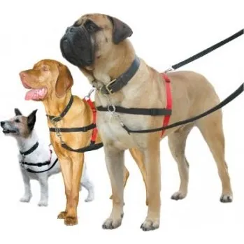 Postroj pro psa Halti Originál výcvikový postroj pro psa S