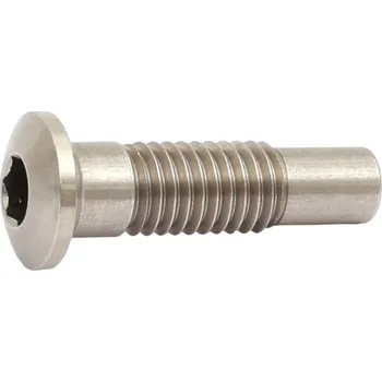 Elektrokolo čep motoru STePS E8000 M8x31,5 mm imbus