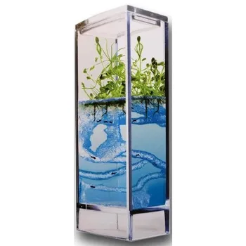 Dětská vědecká sada Globus Forest Ant Mini Antquarium