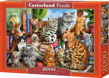 Puzzle Castorland Kočičí dům 2000 dílků