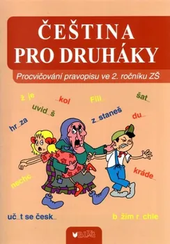 Český jazyk Čeština pro druháky - Vlasta Blumentrittová (2017, brožovaná)
