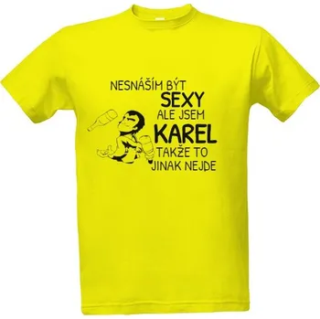 Pánská móda Tričko s potiskem Nesnáším být sexy (barman) pánské
