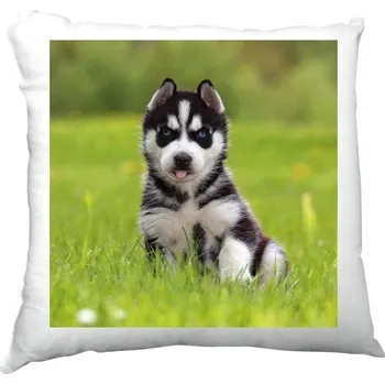 Polštář Polštář saténový s potiskem sibiřský husky polštář