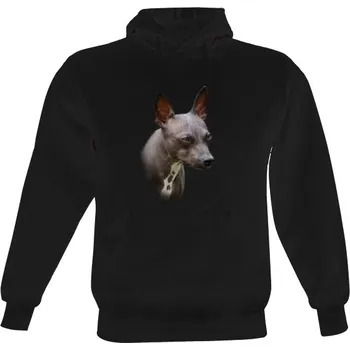 Pánská mikina Pánská mikina s kapucí s potiskem Americký bezsrstý teriér pánské