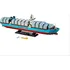 Stavebnice LEGO LEGO Creator Expert 10241 Maersk Line Triple-E