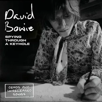 Zahraniční hudba Spying Through a Keyhole - David Bowie [4LP]