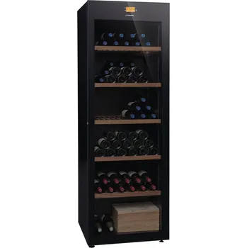 Vinotéka Avintage DVP265G