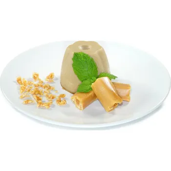 Kostera Puding karamelový Balení: Sáček 100g