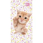 Detexpol Froté osuška 70 x 140 cm