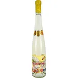 Jankar Profi Medovina 0,5 l akátová